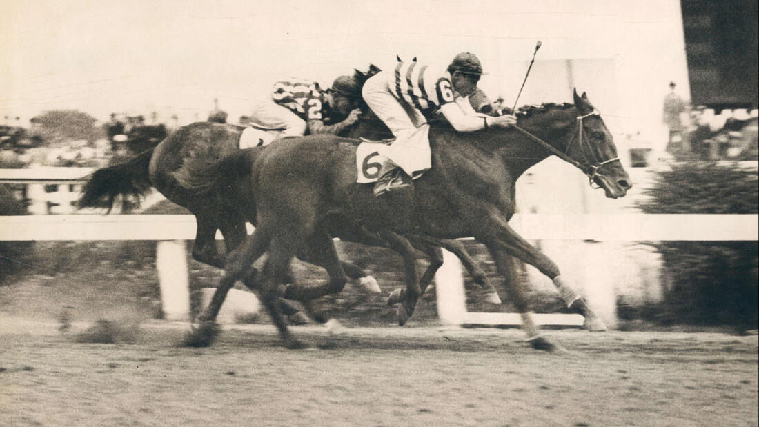Preakness photos from years past